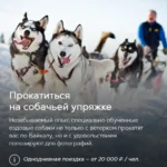 Катание на собачьей упряжке на Байкале