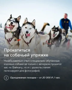 Катание на собачьей упряжке на Байкале