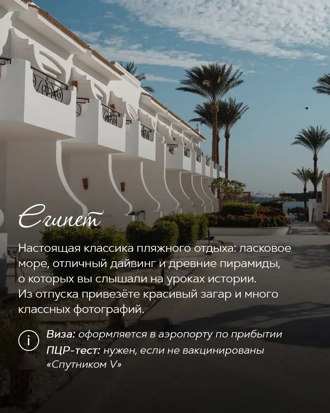 Курортный отель с пальмами на побережье Египта