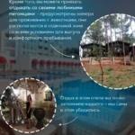 Номера и территория отеля NG Phaselis Bay для отдыха с домашними животными
