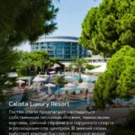 Бассейн и территория отеля Calista Luxury Resort в Анталии