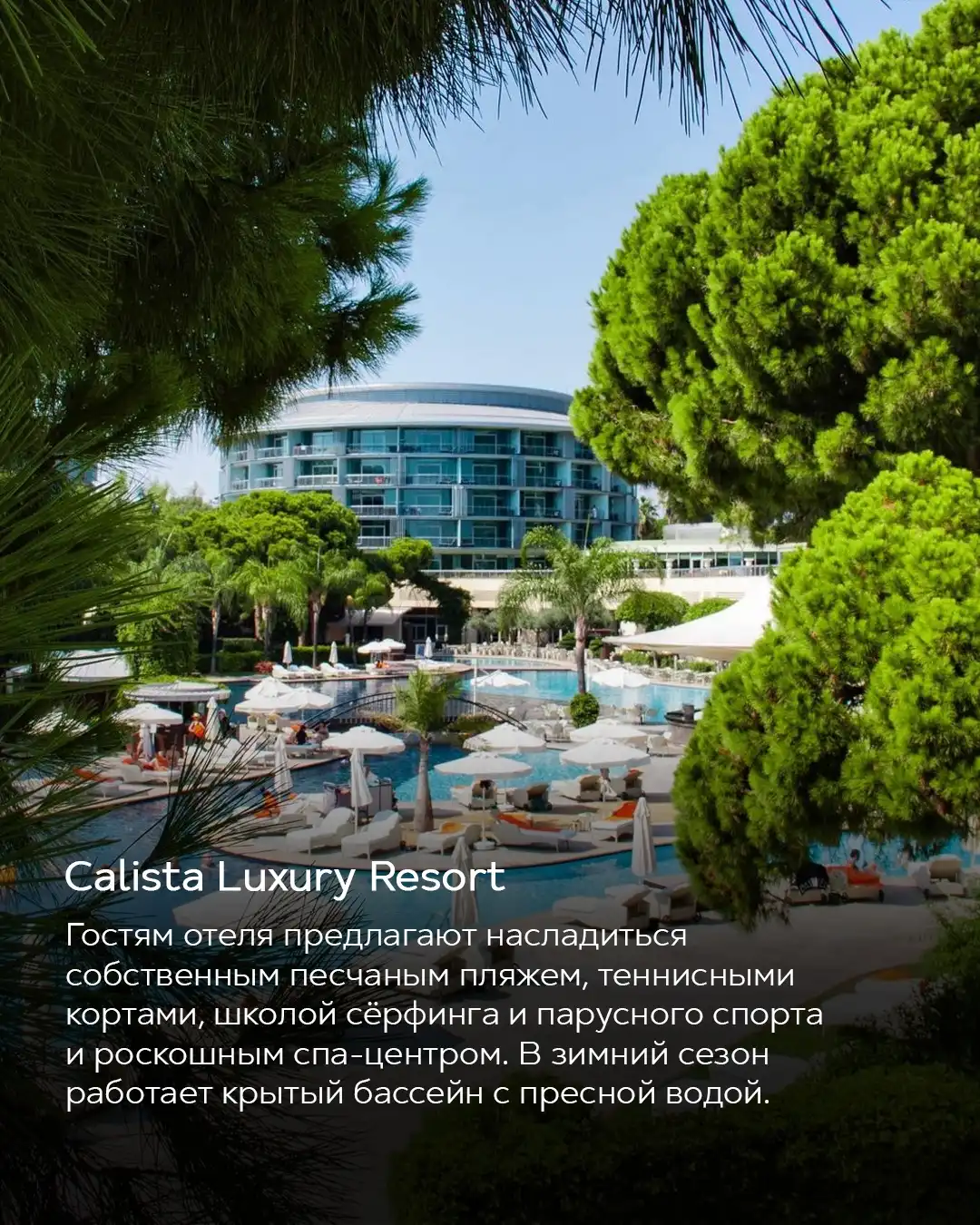 Бассейн и территория отеля Calista Luxury Resort в Анталии