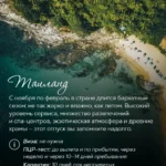 Тропический пляж Таиланда среди пальм и скал