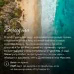 Тропический пляж Венесуэлы с пальмами и бирюзовым морем с высоты