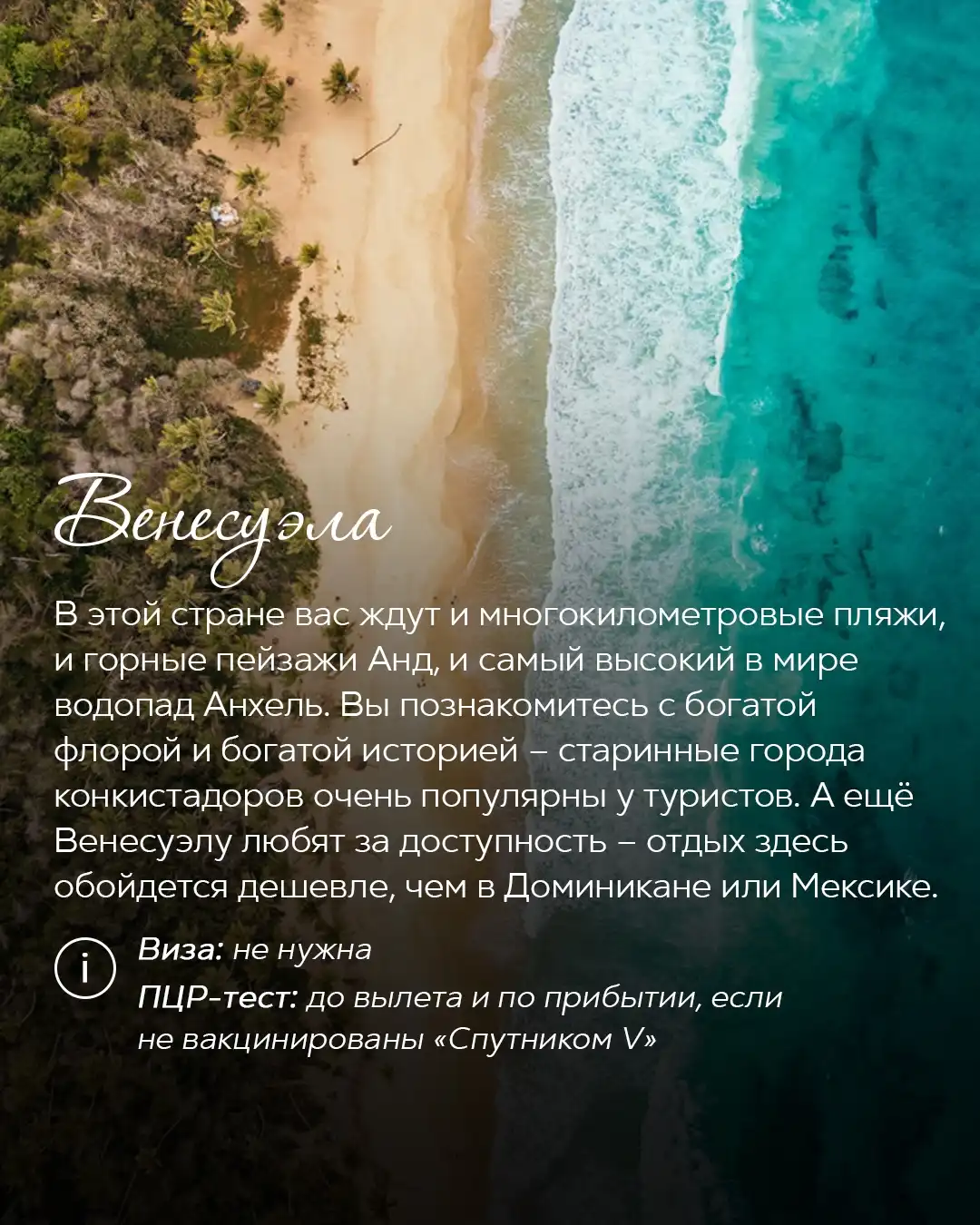 Тропический пляж Венесуэлы с пальмами и бирюзовым морем с высоты