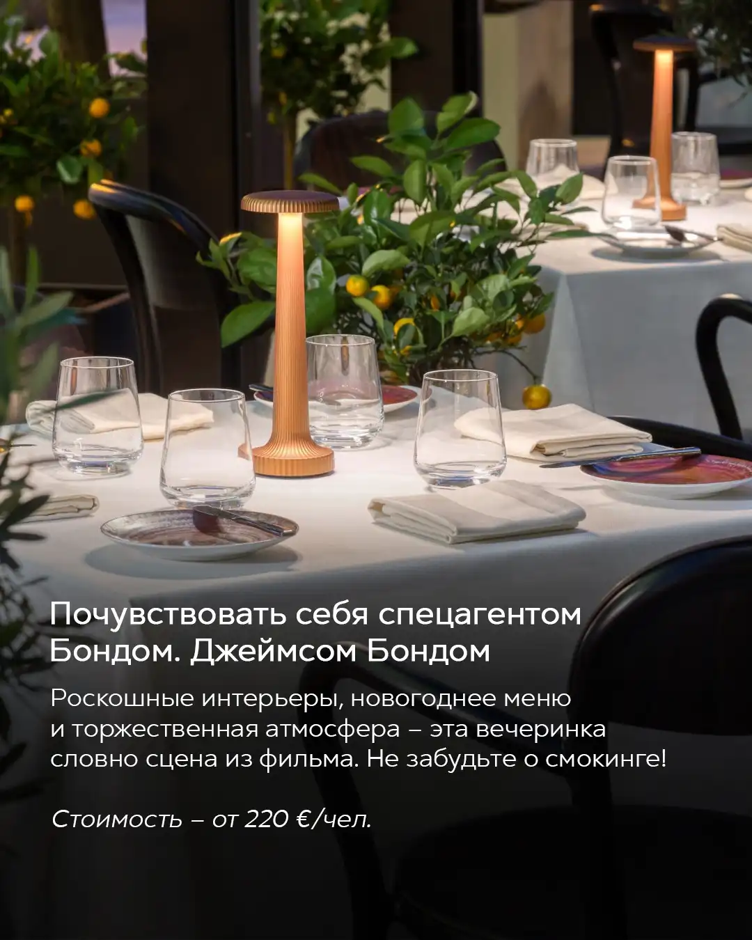 Праздничный новогодний ужин в Будапеште