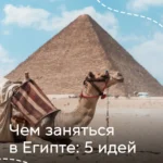 Верблюд лежит на песке на фоне пирамиды Гизы в Египте