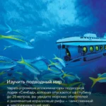 Подводная лодка с туристами и стая желтых рыб в Красном море, Египет, подводный мир