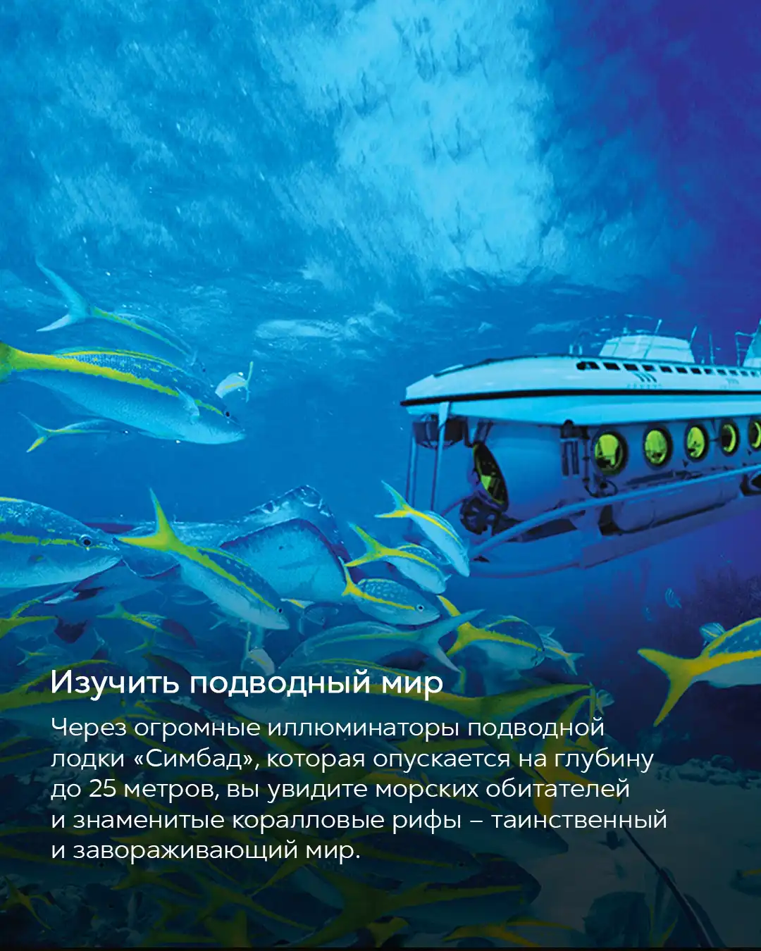 Подводная лодка с туристами и стая желтых рыб в Красном море, Египет, подводный мир