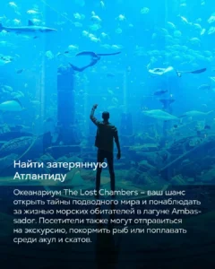 Океанариум The Lost Chambers в Дубае — посетитель среди скатов и акул в затерянной Атлантиде